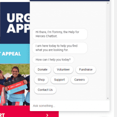 home-example Help for Heroes chatbot welcome view